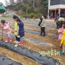 대장나무숲놀이터 이미지