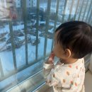 352-2-000031 | 시은이네 2월 한 달 | 육아는 체력전,, 시은맘 힘을 내