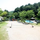 숲속의 산책 이미지