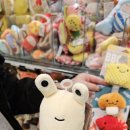 한국애견용품연구소 | 후쿠오카 애견용품 하카타 P2 쇼핑 면세 기왕 온거 집에 있는 댕댕이 선물 하나 챙겨보자