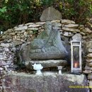 순천-79호 이미지