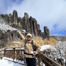 산들바람 이미지