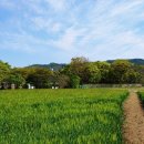 용정3리 경로당 이미지