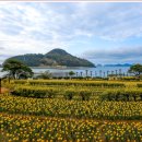 내도운동장 이미지