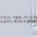 성원침구 이미지