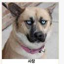 회사 직책에 따른 표정관리는 분명히 다르다. 이미지