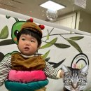 홈플러스(주)서부산점 이미지