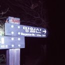 익스트림 & 다이나믹했던 부산11산 산행 이미지