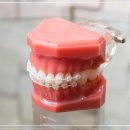 밀레니엄치과의원 이미지