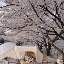 기산골캠핑장 이미지