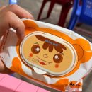 새우영목장 | 나트랑 판랑사막 선라이즈 투어 후기 비용 및 꿀팁