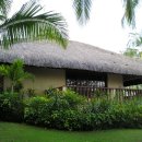 알레그레 이미지