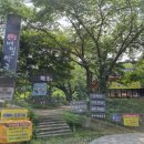 봉평메밀 이미지