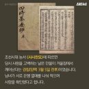 나무사랑 이미지