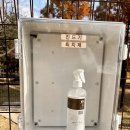 경주유치원 | 경주 애견유치원 털로덮인친구들 솔직후기