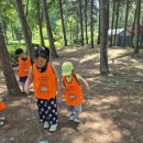 양재어린이공원 | 양재시민의숲 숲체험 깨비의숲마을, 7세 아이 취향저격 알찬 2시간 분리수업 후기