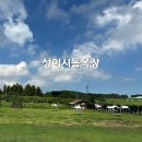 용목장 | [제주도/제주시] 제주 서쪽 여행 성이시돌목장, 우유부단