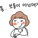 치킨을사랑한떡볶이 - 포항시 남구 효성로 81 | 치킨을사랑한떡볶이