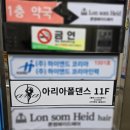 아리아폴 이미지