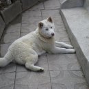 남매농장 이미지