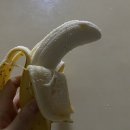 파닭지붕위에 치킨