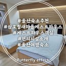 삼호 철새마을 하우스 | 울산 숙소 삼호철새마을게스트하우스 가성비 숙소 추천