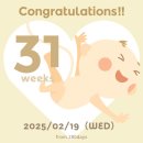 야탑로65번길 이미지