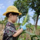 별하농장 이미지