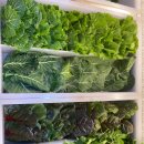 신대2길 이미지