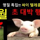 대명텔레콤 이미지