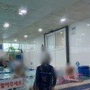 로얄마린 민락점 | 로얄마린 민락점에서 6세 아이 수영 도전, 한 달 만에 음파 성공 후기!