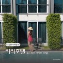 티라스파 | [치앙마이] 키리호텔 | 올드타운 7만원대 가성비 호텔 스탠다드 풀뷰 룸 (+수영장, 조식 후기)