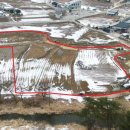 토지농원민박 이미지