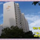 하단동202 이미지