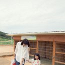 함평양서파충류생태공원 이미지