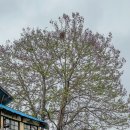 중앙정미소 이미지