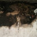 만덕2동-2 이미지