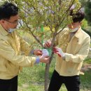 유아숲체험원(제3호) 이미지