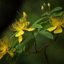 (주)건강누리 이미지