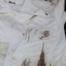 크린월드 이미지