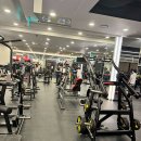 헬스보이짐 네이버블로그