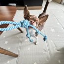 생활 헤어 커트 이미지