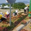 화신로-6 이미지