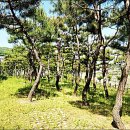 광주목장 이미지