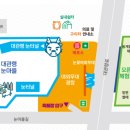 대관령초등학교 이미지