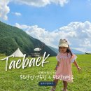 알프스어린이집 | 태백 가볼만한곳 몽토랑산양목장 &amp; 제빵소 알프스에 온 듯
