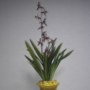 멀리가는 향기 이미지