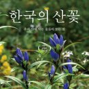 504 이미지