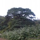 학암경로당 이미지