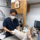 호원종합동물병원 이미지